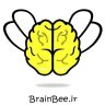 brainbee