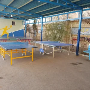 میز پینگ پنگ