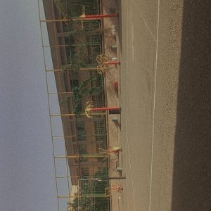 IMG_0443.jpeg