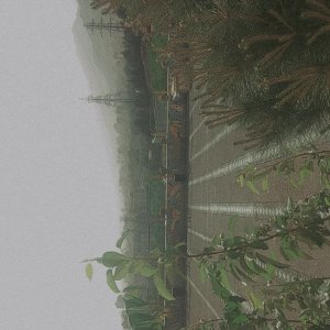 IMG_0446.jpeg