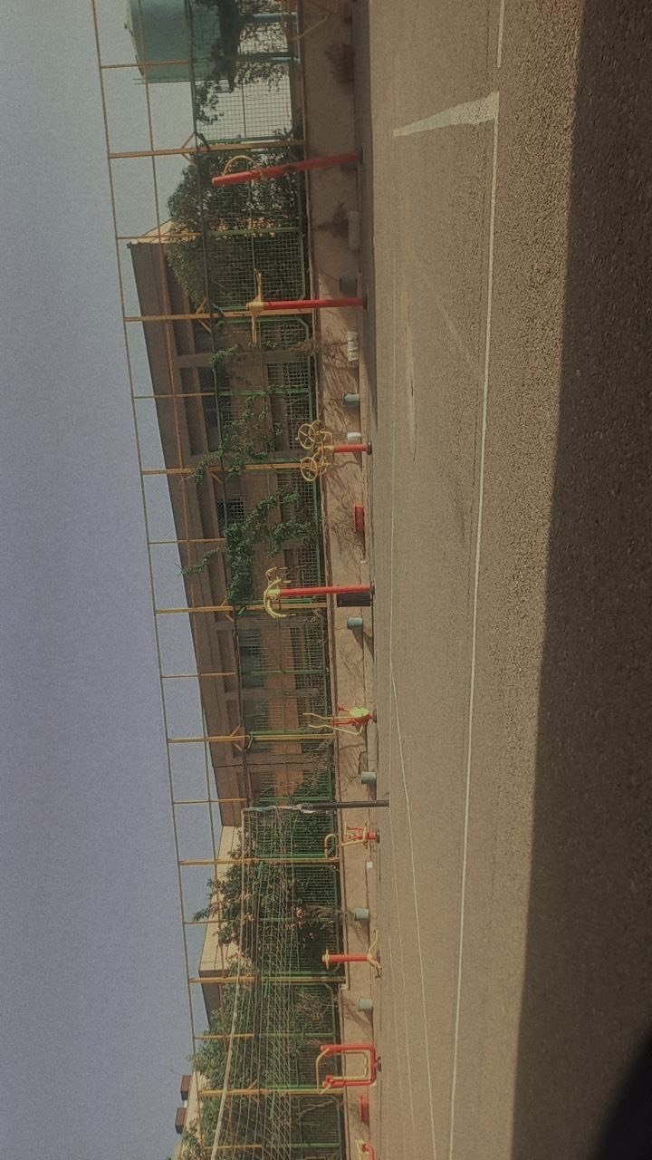IMG_0443.jpeg
